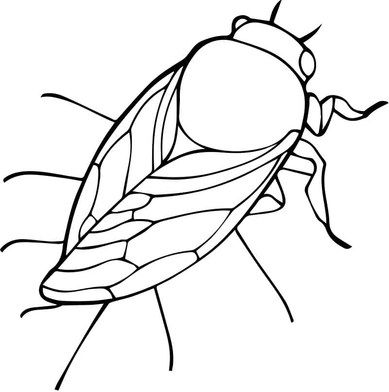 Desenho deCigarra Grátis Para Crianças para colorir