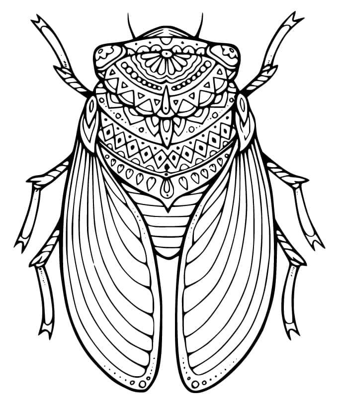 Desenho deCigarra para Adultos para colorir