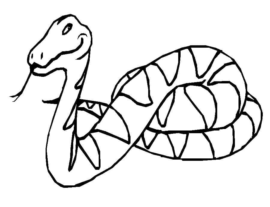 Desenho deCobra Grátis Para Crianças para colorir