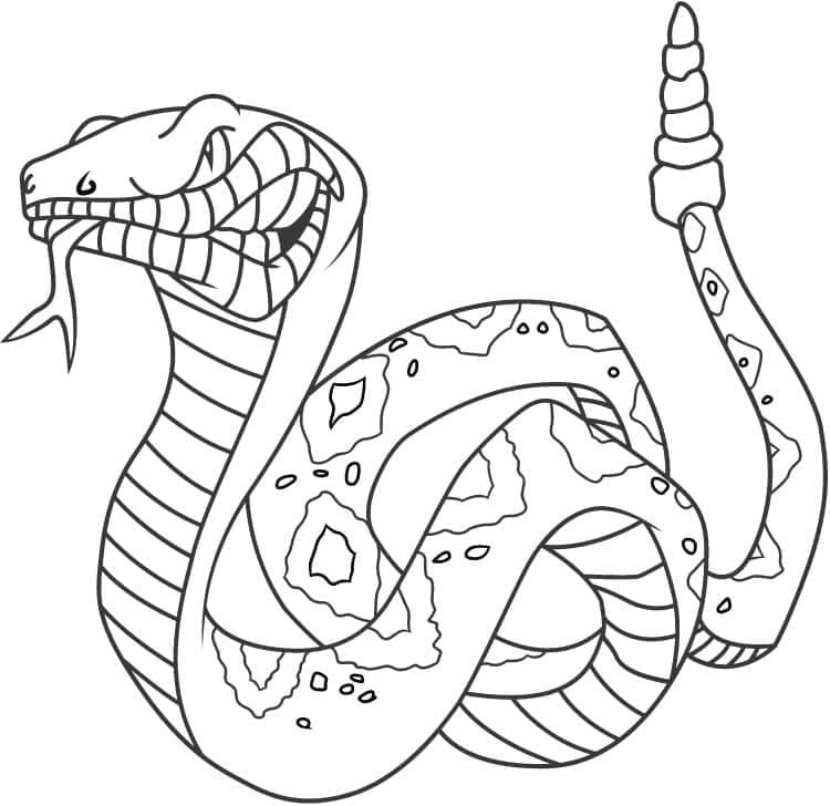 Desenho deCobra Irritada para colorir