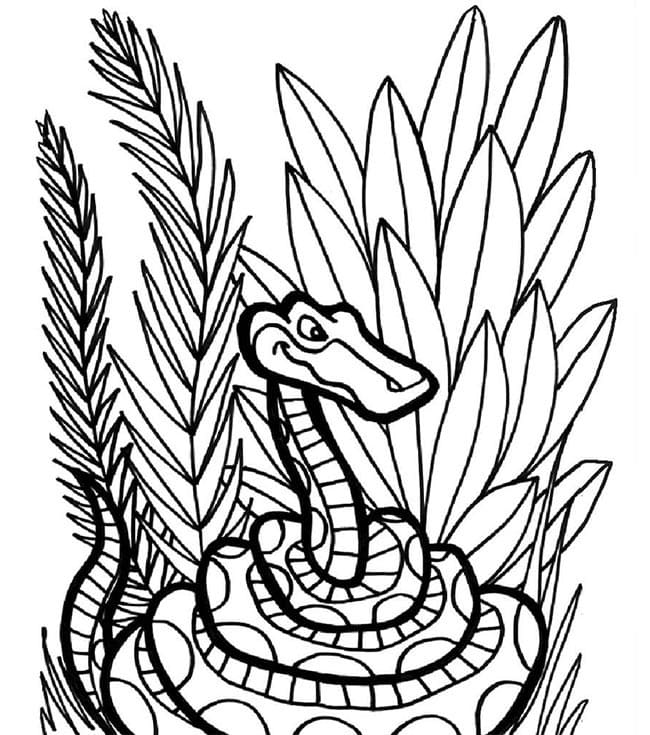 Desenho deCobra Jiboia Animada para colorir