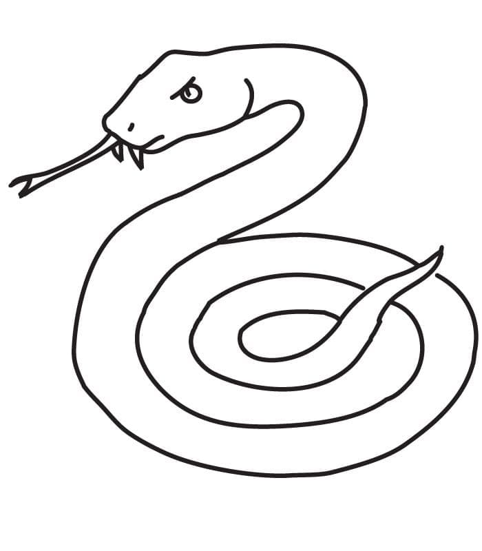 Desenho deCobra Simples para colorir