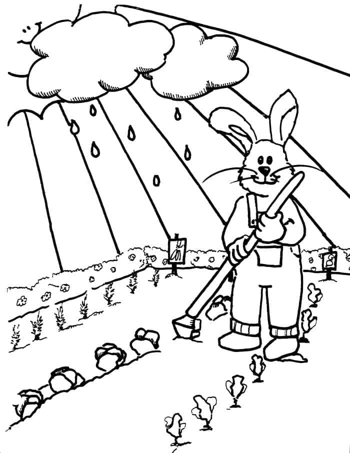 Desenho de Coelho no Jardim para colorir