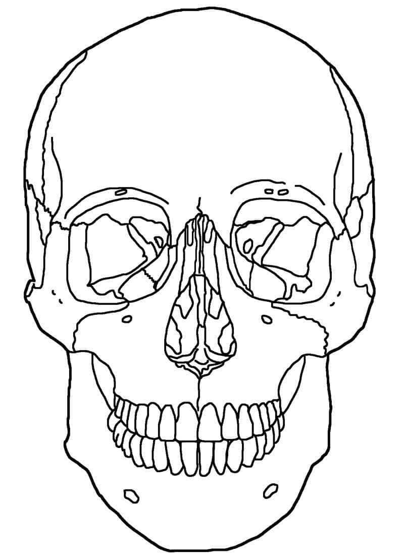 Desenho deCrânio 6 para colorir