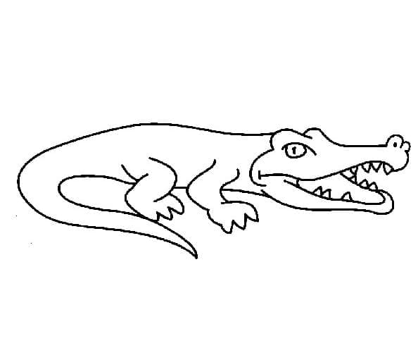 Desenho deCrocodilo Fácil para colorir