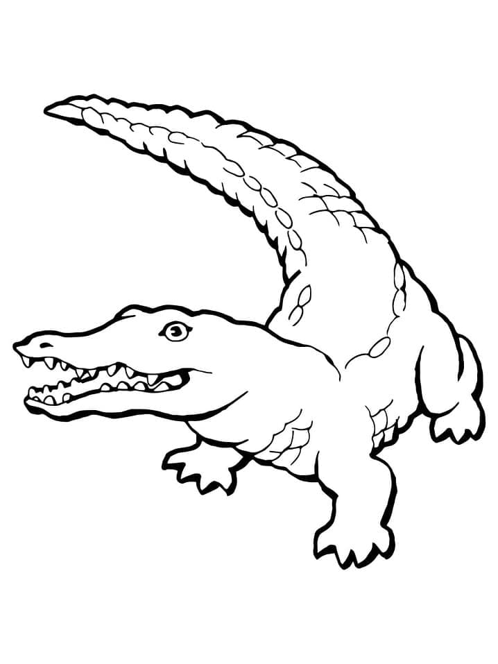 Desenho deCrocodilo Grátis para colorir