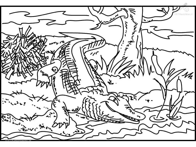 Desenho deCrocodilo Grátis Para Crianças para colorir