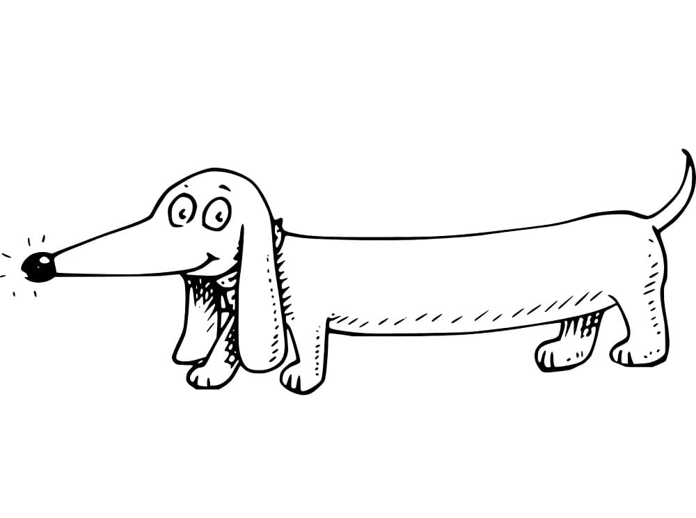 Desenho de Dachshund Animado para colorir