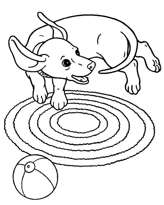 Desenho de Dachshund Brincalhão para colorir