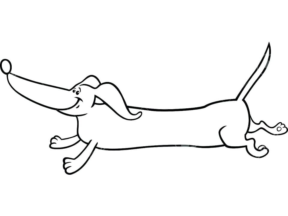 Desenho de Dachshund Correndo para colorir