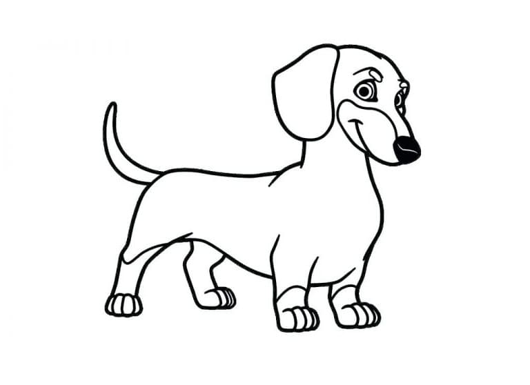 Desenho de Dachshund de Desenho Animado para colorir