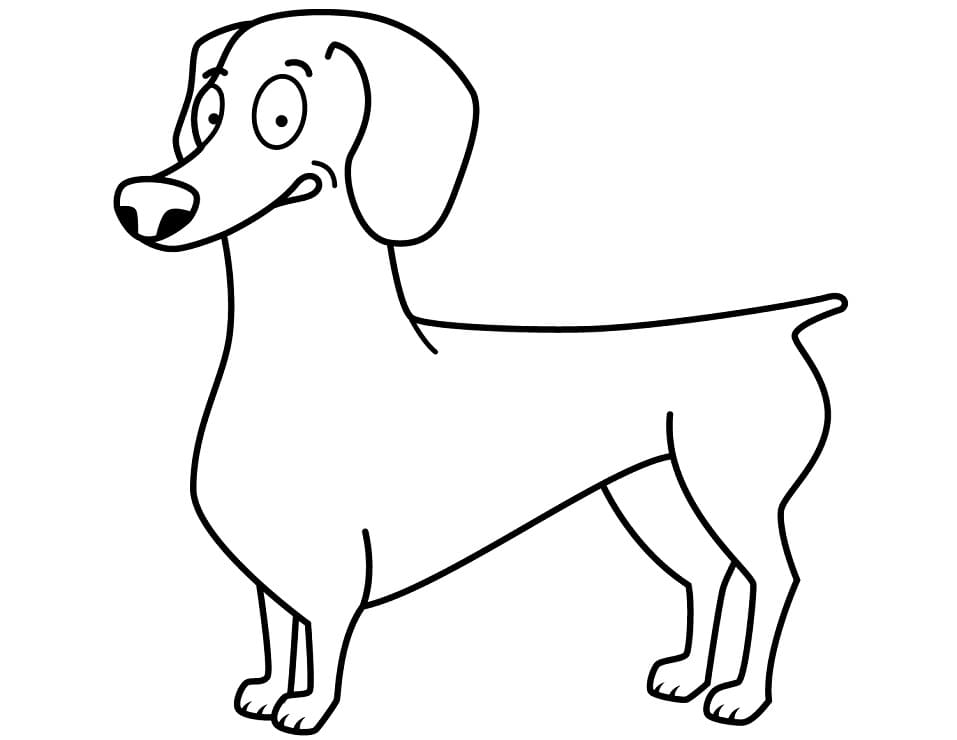 Desenho de Dachshund Engraçado para colorir