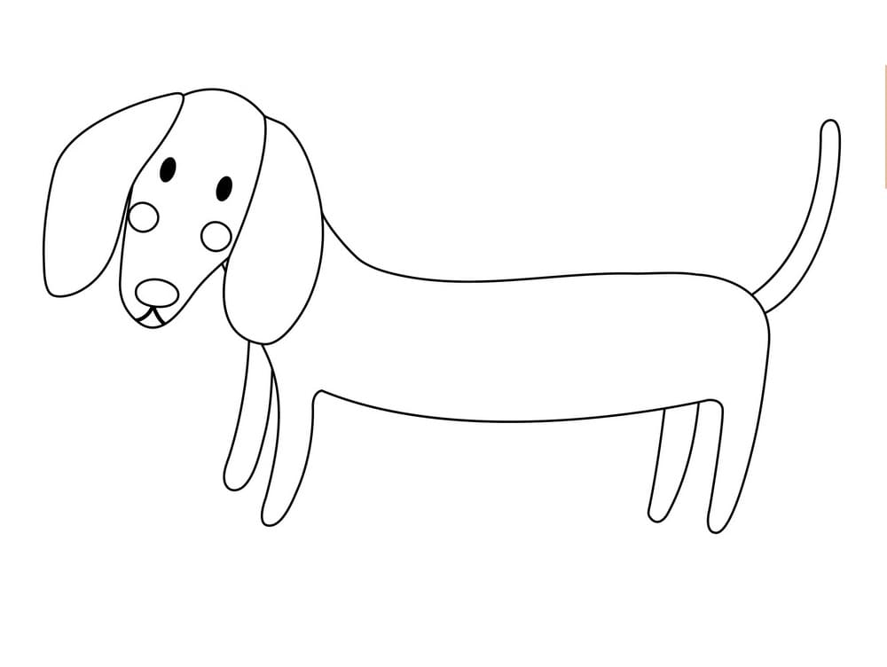 Desenho de Dachshund Fácil para colorir