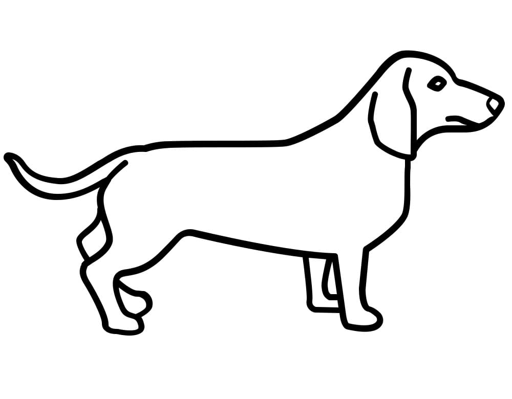 Desenho de Dachshund Simples para colorir