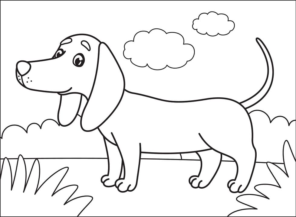 Desenho de Dachshund Sorridente para colorir