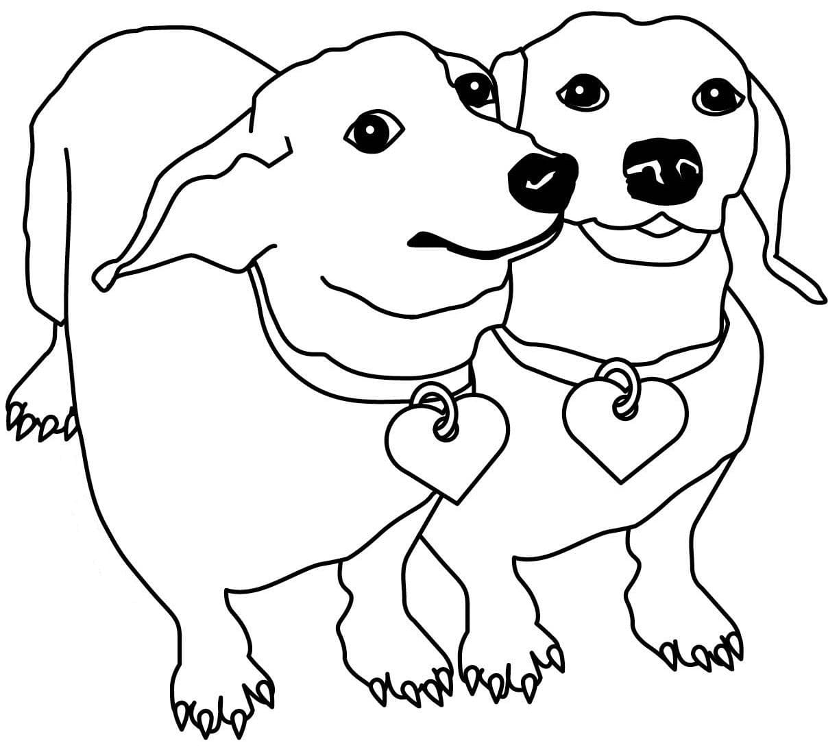 Desenho de Dois Dachshund para colorir