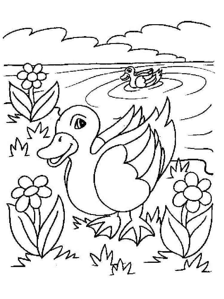 Desenho deDois Patos para colorir