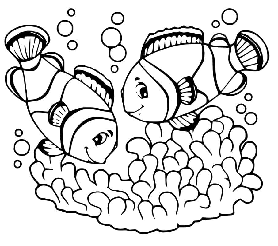 Desenhos de Peixe Palhaço para colorir