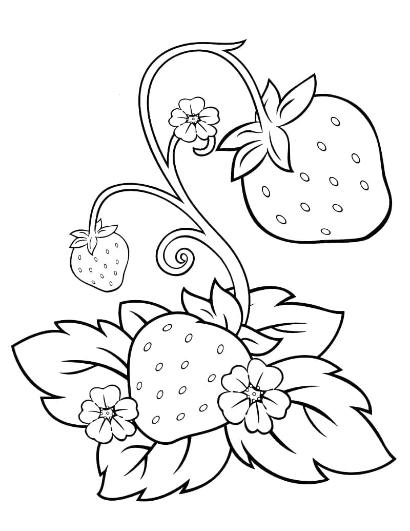 Desenho deFlores e Morangos para colorir