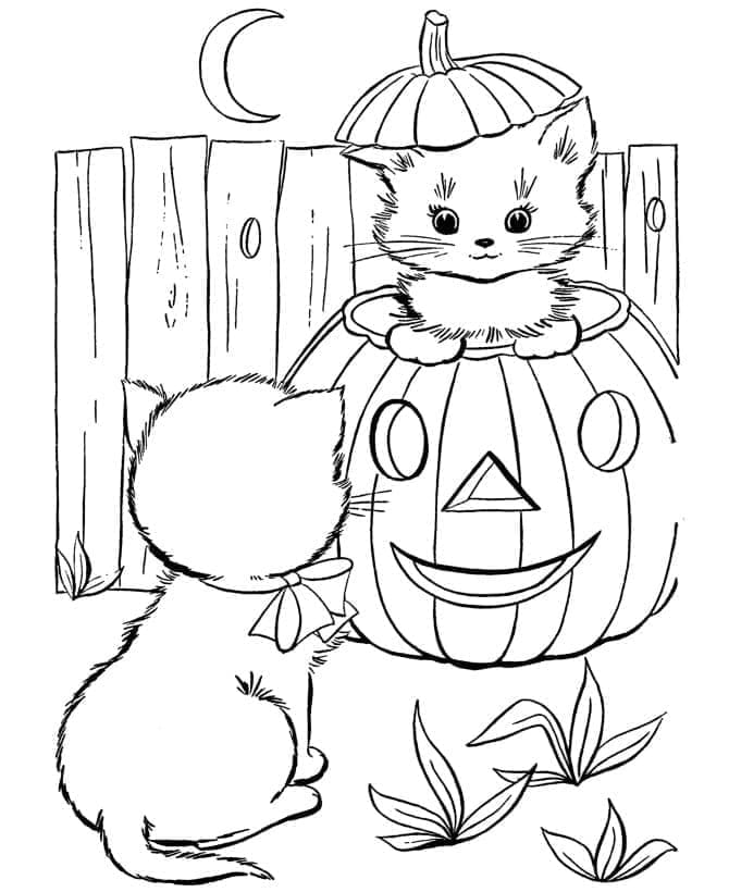 Desenho deGatinhos de Halloween para colorir