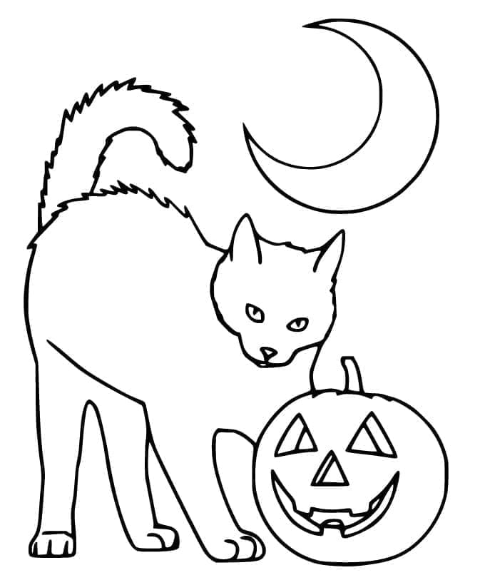 Desenho deGato com Abóbora de Halloween para colorir