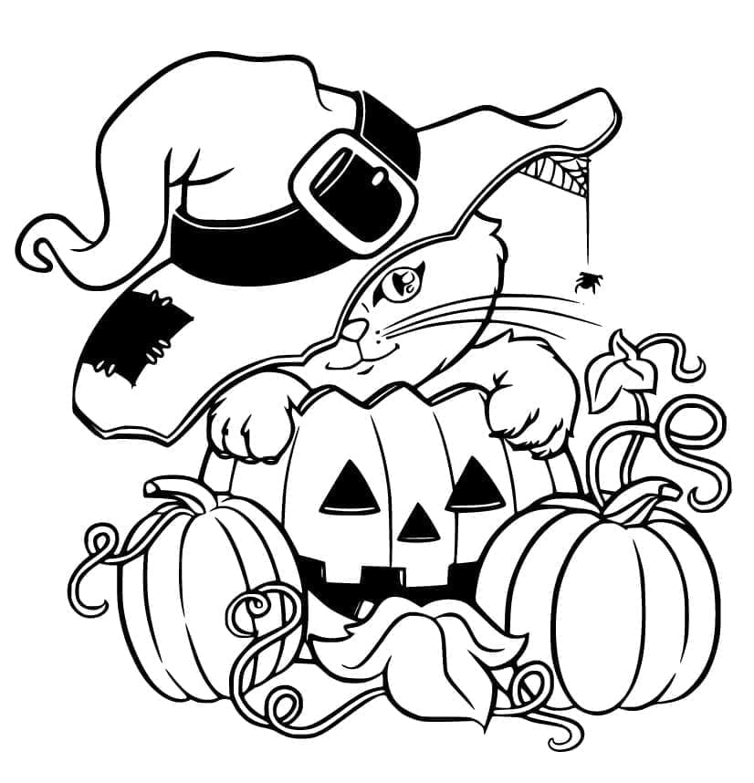 Desenho deGato de Halloween 8 para colorir