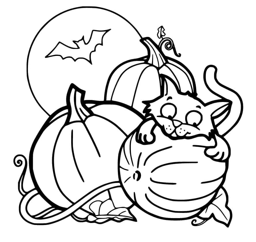 Desenho deGato e Abóboras de Halloween para colorir