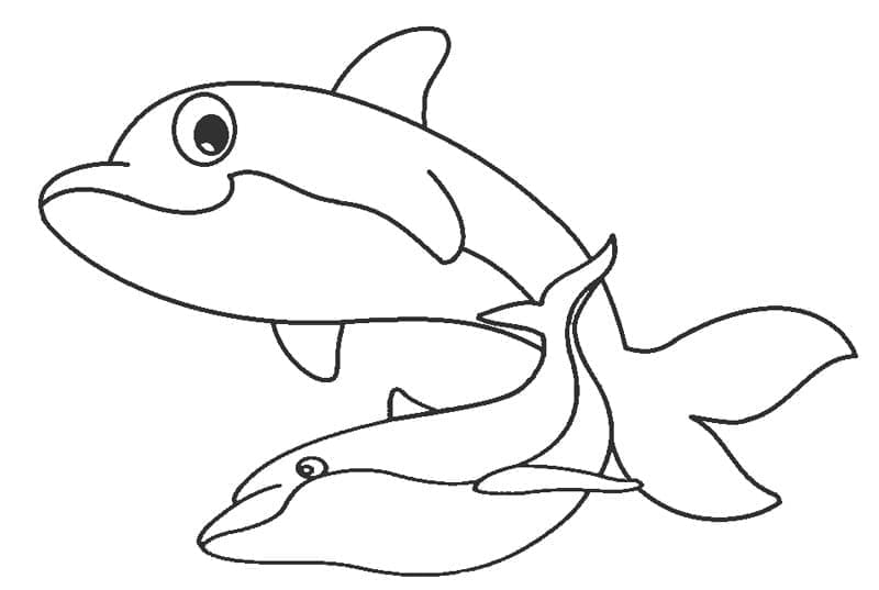 Desenho deGolfinhos Animados para colorir