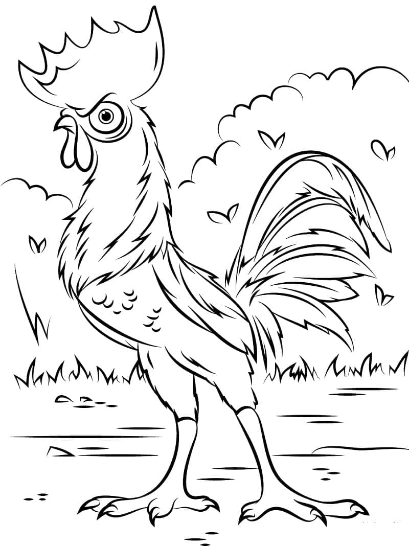 Desenho de Hei Hei de Moana para colorir