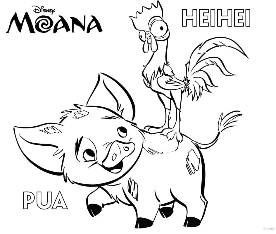 Desenho de Hei Hei e Pua de Moana para colorir