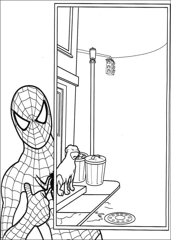 Desenho de Homem Aranha Incrível para colorir