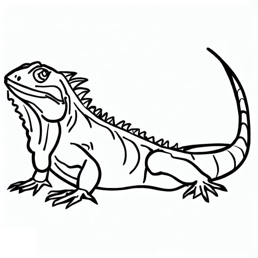 Desenho deIguana 1 para colorir