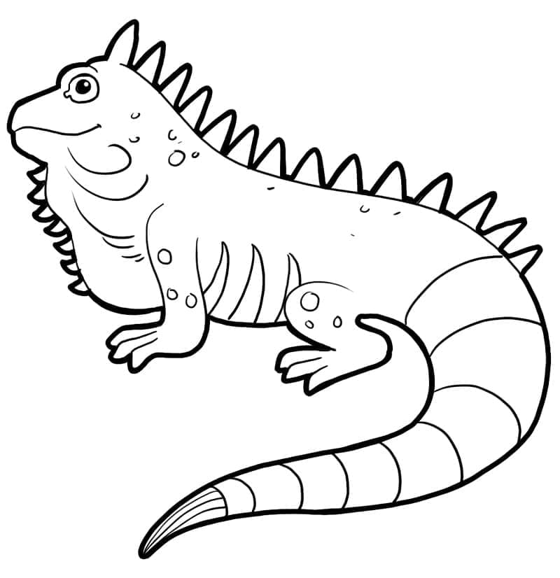 Desenho deIguana Amigável para colorir