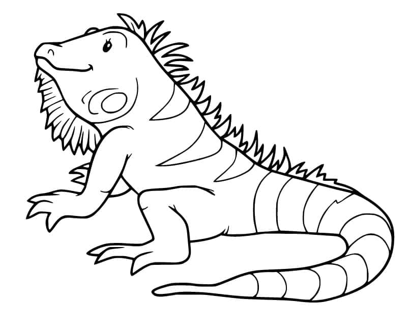 Desenho deIguana Animada para colorir