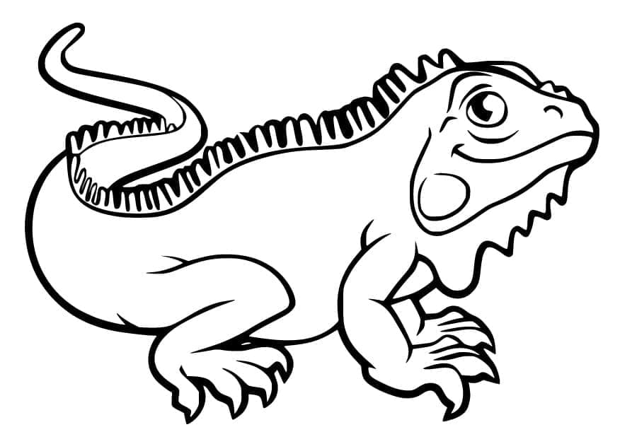 Desenho deIguana de Desenho Animado para colorir