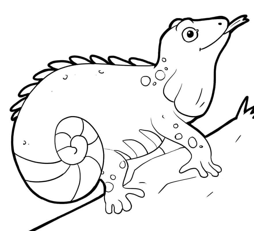 Desenho deIguana Fofa para colorir