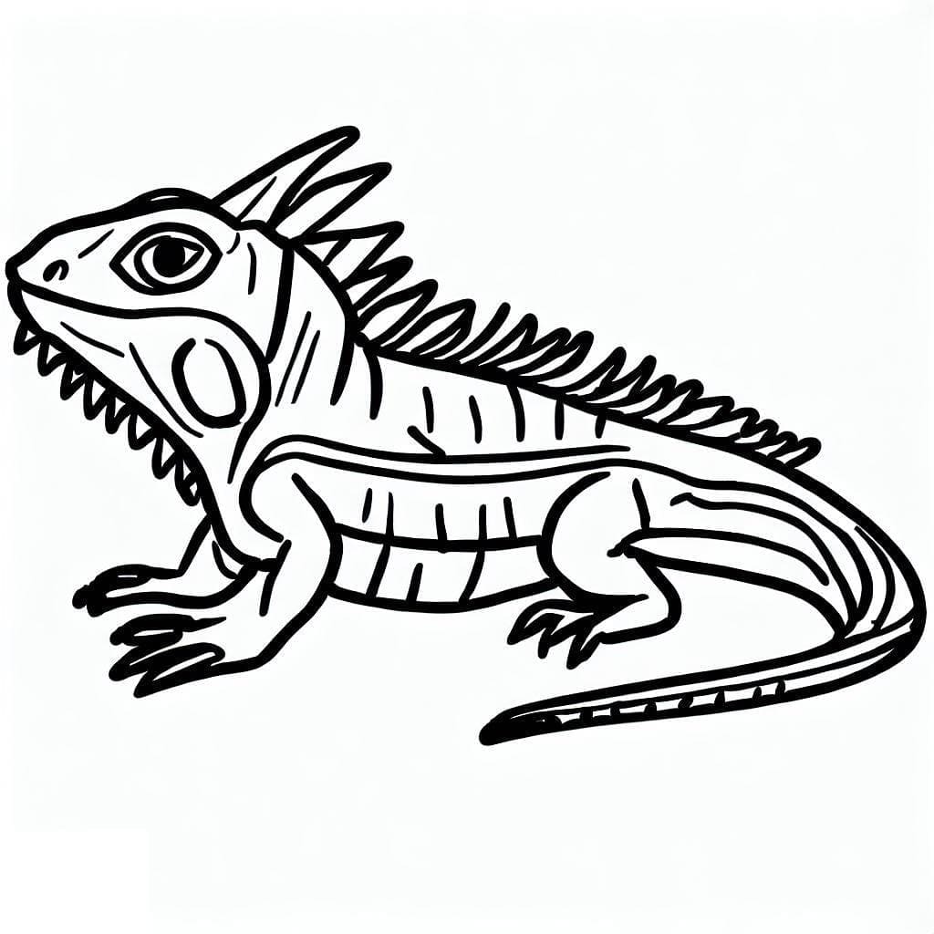 Desenho deIguana Grátis para colorir