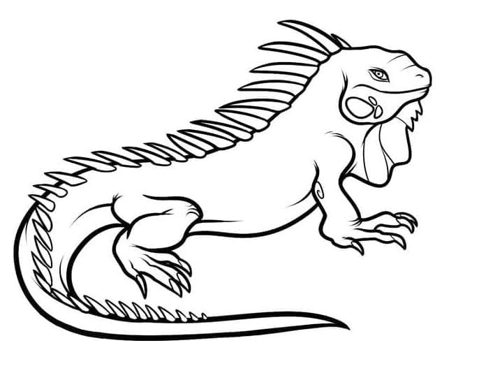 Desenho deIguana Imprimível para colorir