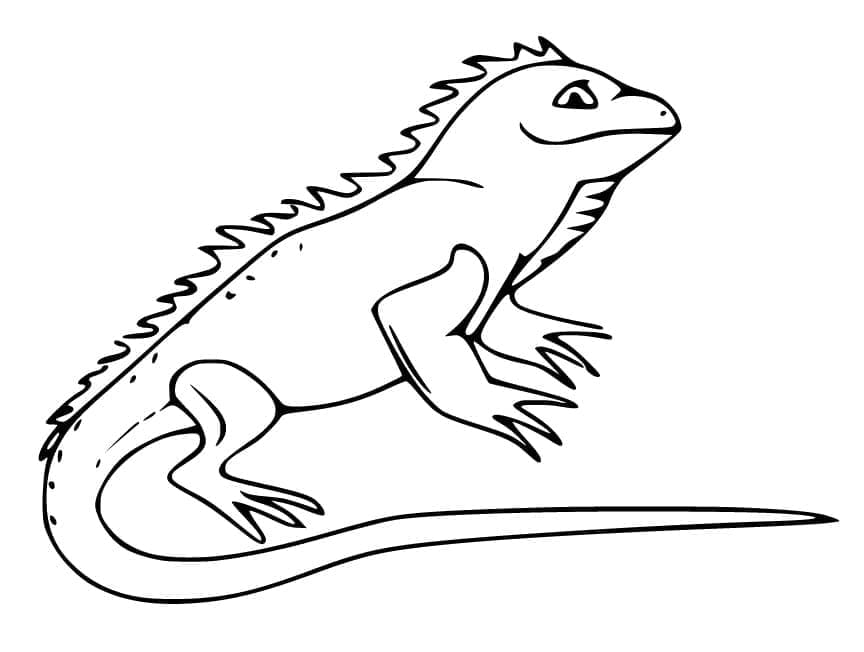 Desenho deIguana Sorridente para colorir