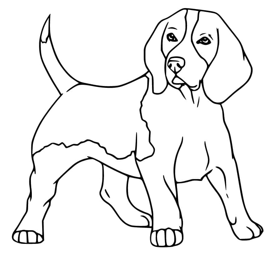 Desenho deImagem de Cachorro Beagle para colorir