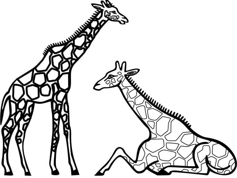 Desenho deImagem de Girafas para colorir