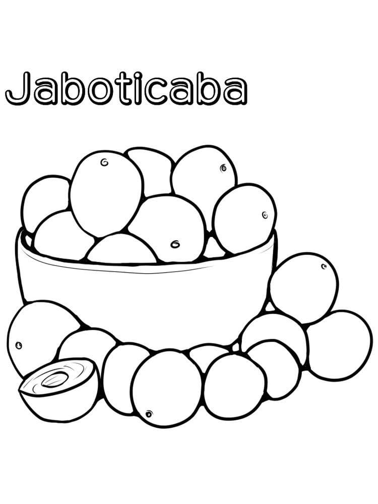 Desenhos de Jabuticaba para colorir