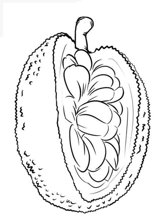 Desenho deJaca Fresca para colorir