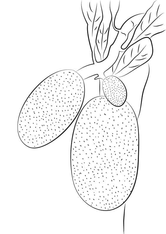 Desenho deJacas Imprimível para colorir