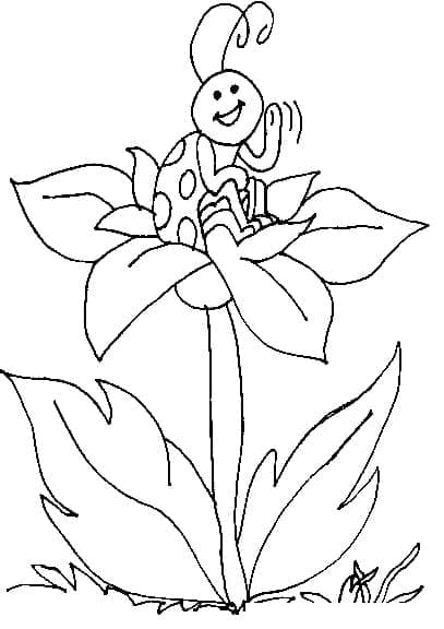 Desenho deJoaninha em Flor para colorir