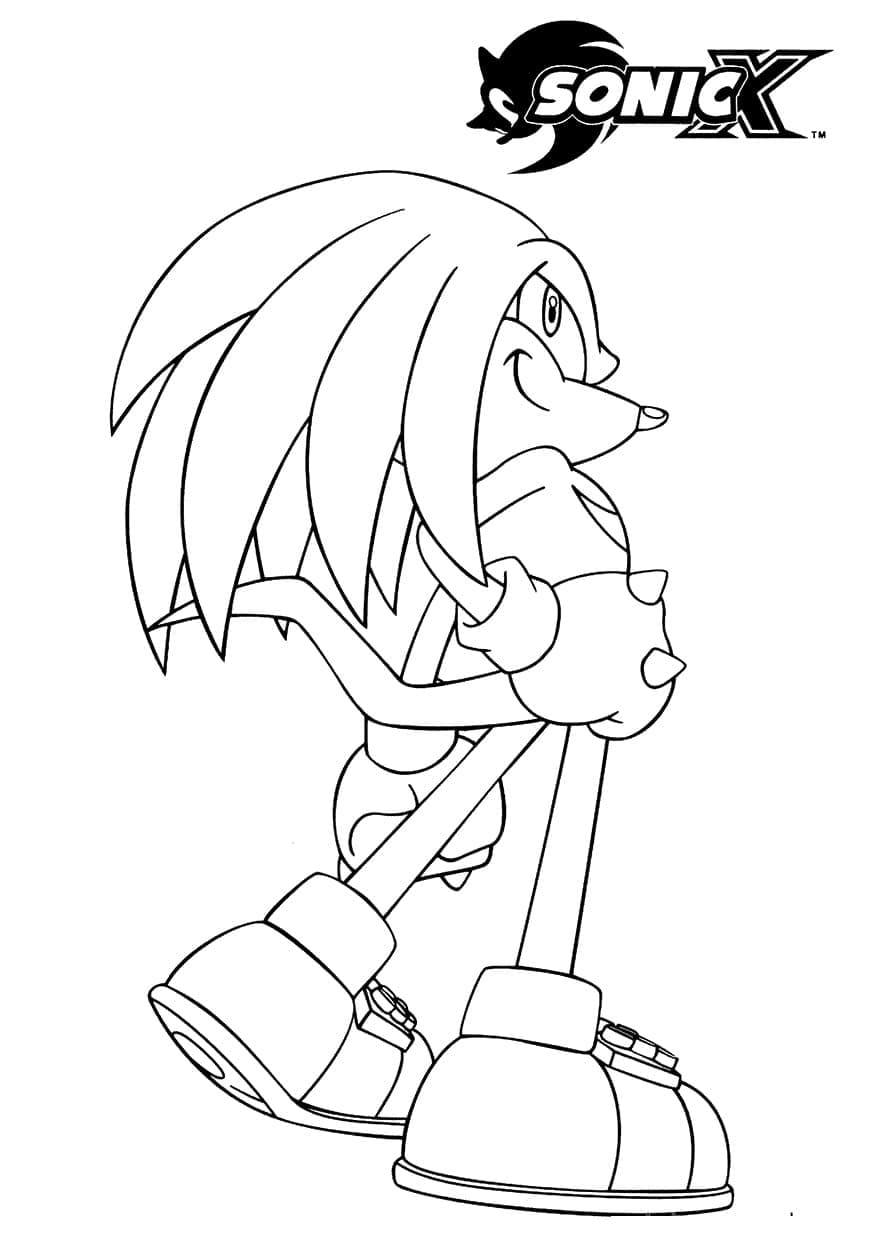 Desenho deKnuckles The Echidna de Sonic X para colorir