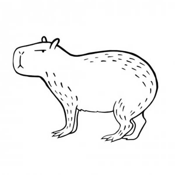 Desenho deLinda Capivara para colorir