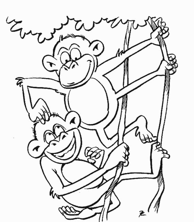 Desenho de Macacos Engraçados para colorir