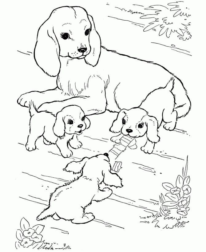 Desenho deMãe Cachorro e Cachorrinhos para colorir