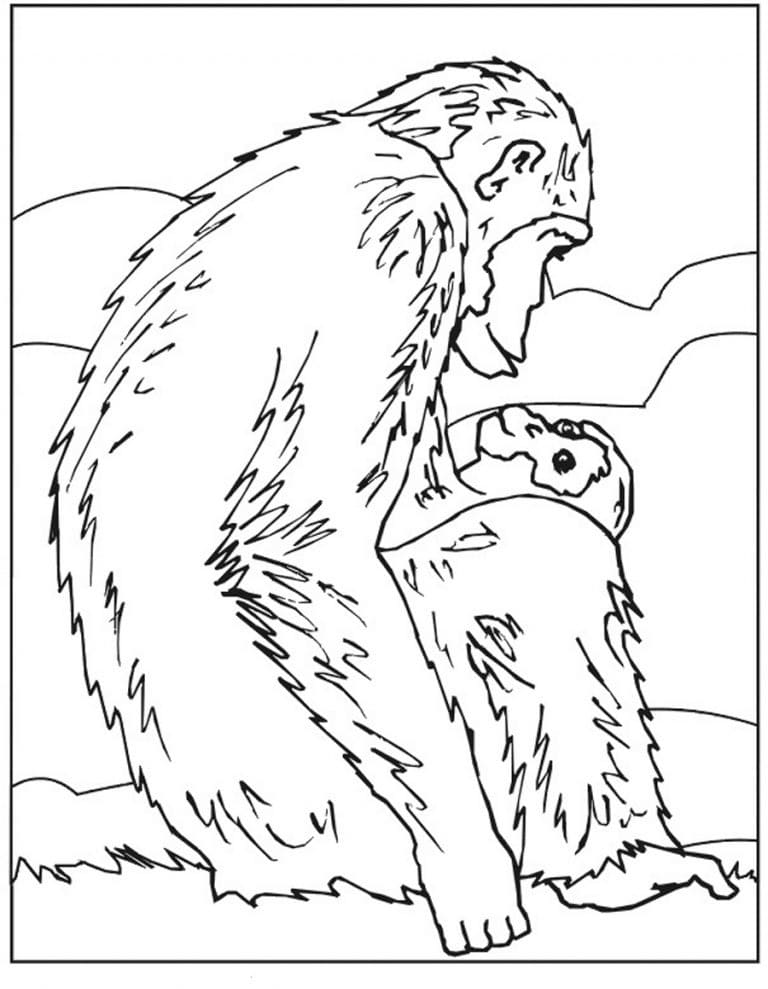 Desenho deMãe e Bebê Chimpanzé para colorir